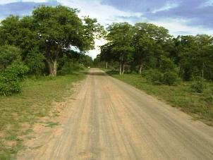 Chobe roads